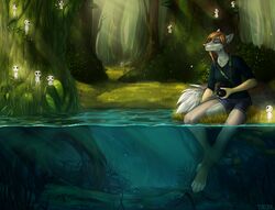  4_toes 5_fingers anthro barefoot biped camera canid canine canis claws clothed clothing day detailed_background digital_media_(artwork) feet feet_in_water female fingers forest grass hi_res holding_camera holding_object kodama_(princess_mononoke) mammal moss outside partially_submerged plant sitting smile soaking_feet taurusart toes tree water wolf 