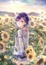  54cr blush bob_cut chinese_commentary commentary dolphin_hair_ornament female field flower flower_field highres hood hood_down hoodie looking_at_viewer md5_mismatch miniskirt nijisanji nishizono_chigusa nishizono_chigusa_(1st_costume) outdoors photoshop_(medium) purple_hair red_eyes school_uniform selene_girls_school_uniform short_hair skirt solo standing sunflower sunflower_field thighs virtual_youtuber yellow_flower 