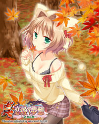  autumn autumn_leaves bag bikuto_ryuu black_bra black_pantyhose bra brown_hair brown_skirt female green_eyes hair_intakes hand_to_own_mouth highres jun&#039;iku koihime_musou leaf outdoors pantyhose plaid plaid_skirt short_hair skirt solo sweater tree underwear white_sweater 