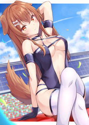  absurdres animal_ears arm_up armband azur_lane bad_id bad_pixiv_id bare_shoulders black_gloves blue_sky blush bone_hair_ornament breasts brown_eyes brown_hair cleavage closed_mouth cloud commentary confetti cosplay crossed_legs day dog_ears dog_girl dog_tail female gloves hair_between_eyes hair_ornament highres hololive inugami_korone large_breasts long_hair looking_at_viewer navel outdoors race_queen shoukaku_(azur_lane) shoukaku_(azur_lane)_(cosplay) shoukaku_(sororal_wings)_(azur_lane) sitting sky smile solo tail taracomax thighhighs underboob virtual_youtuber white_thighhighs 