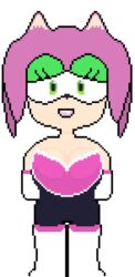  absurd_res amy_rose anthro big_eyes breasts clothing digital_media_(artwork) eulipotyphlan female green_eyes hair hedgehog hi_res hybrid makeup mammal pink_clothing pink_hair pixel_(artwork) rouge_the_bat sega solo sonic_the_hedgehog_(series) trilpin 