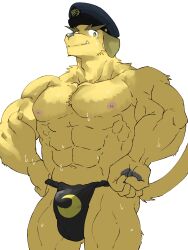  1boy abs animal_ears bara black_fundoshi bulge cowboy_shot dog_boy dog_ears dog_tail forked_eyebrows fugur6_fugur9 fundoshi hat highres huge_eyebrows japanese_clothes large_pectorals male_focus muscular muscular_male navel nipples nobumichi_(housamo) peaked_cap pectorals police_hat print_fundoshi sanpaku short_hair simple_background solo standing sweat tail thick_eyebrows tokyo_afterschool_summoners topless_male tusks very_sweaty yellow_eyes 