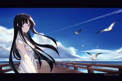  akiyama_mio animal bird black_eyes black_hair clouds dress k-on! long_hair sky water zjm530280188 