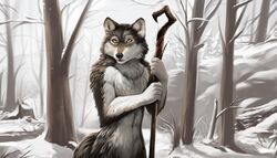  2022 5_fingers 7:4 abs absurd_res adobe_photoshop_(artwork) anthro black_body black_fur canid canine canis casual_nudity chest_tuft colored conditional_dnp day detailed_background digital_media_(artwork) fingers fluffy forest fur grey_body grey_fur hi_res holding_object holding_staff male mammal multicolored_body multicolored_fur navel nude outside plant realistic realistic_fur sky snow solo staff tan_eyes tom_fischbach tree tuft white_body white_fur winter wolf yellow_eyes 