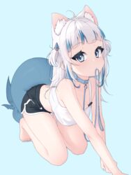  absurdres ahoge all_fours animal_collar animal_ear_fluff animal_ears barefoot bell belt_collar black_shorts blue_eyes blue_hair blue_nails blunt_bangs blush cat_ears collar dolphin_shorts female fins fish_tail gawr_gura grey_hair hair_ornament highres hololive hololive_english jingle_bell leash leash_in_mouth long_hair looking_at_viewer lucasyecla99 mouth_hold multicolored_hair neck_bell shark_hair_ornament shark_tail shorts solo streaked_hair tail tank_top two_side_up virtual_youtuber white_tank_top 