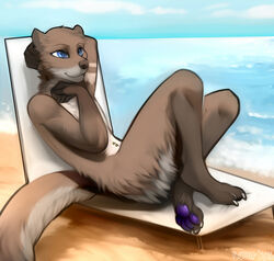  5_fingers angiewolf anthro beach blue_eyes brown_body brown_fur day detailed_background digital_media_(artwork) fingers fur gemini_the_otter lying male mammal mustelid navel navel_piercing nude nude_beach otter outside pawpads piercing purple_pawpads sand seaside shaded sky smile solo water 