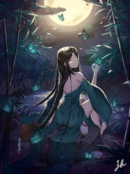  absurdres bamboo bare_legs bare_shoulders barefoot black_hair blue_butterfly braid brown_eyes bug butterfly commentary_request dress female green_dress highres jb_(luna9953) lake long_hair looking_back moon moonlight night original outdoors photoshop_(medium) rock sitting very_long_hair water wide_sleeves 