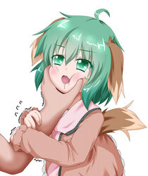  ahoge animal_ears arm_grab blush brown_dress cheek_squash commentary_request dog_ears dog_tail dress drooling female grabbing_another&#039;s_chin green_eyes green_hair hand_on_another&#039;s_chin hand_on_another&#039;s_face happy image_sample kasodani_kyouko long_sleeves nicoseiga_sample oden_(th-inaba) oerba_yun_fang open_mouth out_of_frame pink_dress saliva short_hair solo_focus tail touhou trembling white_background 