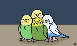  5:3 ambiguous_gender animated avian beak bird birdcheese black_eyes blue_body blue_feathers budgerigar closed_eyes digital_media_(artwork) feathers feral green_body green_feathers group happy hug loriinae low_res parakeet parrot sad short_playtime true_parrot white_body white_feathers yellow_body yellow_feathers 