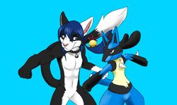  anthro bell canid canine collar domestic_cat duo featureless_crotch felid feline felis generation_4_pokemon lucario maho-gato male mammal nintendo pokemon pokemon_(species) sapphynhoa trainer 