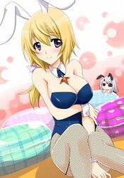  animal_ears bad_id bad_pixiv_id blonde_hair blue_leotard breasts charlotte_dunois chibi cleavage commentary_request detached_collar eyepatch female fishnet_pantyhose fishnets infinite_stratos large_breasts laura_bodewig leotard long_hair mini_person minigirl pantyhose pillow playboy_bunny purple_eyes rabbit_ears ribbon wrist_cuffs yamaki_suzu 