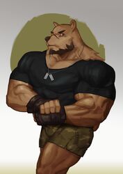  2018 abs absurd_res anthro bear beard biceps big_muscles bottomwear brown_body brown_fur brown_hair brown_nose clothing dog_tags facial_hair fingerless_gloves flexing fur gloves hair handwear hi_res huge_muscles male mammal muscular muscular_anthro muscular_male pecs quads shirt shorts simple_background solo standing t-shirt tight_clothing topwear traver009 triceps 