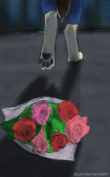  anthro bottomwear bouquet brown_body brown_fur clothed clothing codyf0xx digitigrade flower fur holidays lonely lonliness looking_away outside pawpads paws plant rose_(flower) sad shadow solo tan_body tan_fur valentine&#039;s_day walking watermark 