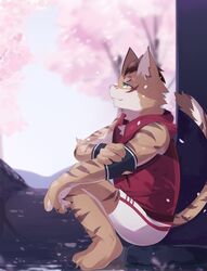  2019 anthro bottomwear clothing countershading deity felid feline fur green_eyes hi_res hoodie leopard_cat male mammal nekojishi nekojita plant prionailurus red_clothing red_hoodie red_topwear shorts shu-chi sitting smile solo spring striped_body striped_fur stripes studio_klondike topwear tree white_bottomwear white_clothing white_shorts young 