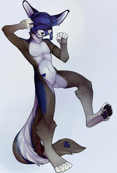  4_toes 5_fingers anthro black_nose canid canine digital_media_(artwork) featureless_crotch feet fingers male mammal navel nude pawpads redcreator shaded simple_background smile solo toes white_background 