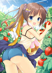  :d ahoge ass bare_arms bare_shoulders basket blue_eyes blue_shorts blush bow breasts brown_hair camisole clothes_around_waist cloud commentary_request contrail covered_nipples cowboy_shot day diffraction_spikes female food from_behind fruit hair_ornament hair_scrunchie hairbow hat highres holding holding_food holding_fruit leaning_forward light_rays long_hair looking_at_viewer looking_back maccha moe2016 open_mouth original outdoors plant purple_bow scrunchie shirt shirt_around_waist short_shorts shorts side_ponytail sideboob sky small_breasts smile solo sparkle strap_slip straw_hat sunbeam sunlight sweat thighs tomato towel towel_around_neck unworn_headwear yellow_bow 