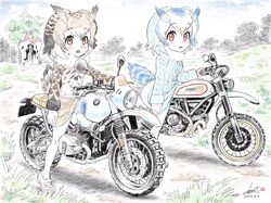  2girls artist_name bird_tail blue_sky bmw brown_coat brown_eyes brown_hair building check_commentary cloud cloudy_sky coat commentary commentary_request dated day dirt_road dirtbike ducati eurasian_eagle_owl_(kemono_friends) fur_collar grass grey_coat head_wings highres japari_symbol kemono_friends kubota_shinji light_frown long_sleeves looking_at_viewer mary_janes motor_vehicle motorcycle multiple_girls northern_white-faced_owl_(kemono_friends) open_mouth outdoors pantyhose pink_footwear red_eyes riding road shoes short_hair signature sitting sky star_(sky) staring starry_sky tail tree vehicle_request watermark white_coat white_hair white_legwear wings 