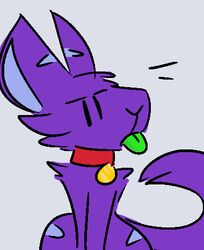  blep canid canine collar fur gallil gallil_(character) lagomorph low_res mammal monster purple_body purple_fur simple_background sitting solo tongue tongue_out white_background 