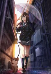  blue_eyes brown_hair canine cardigan eyebrows_hidden_by_hair female hanako_(idolmaster) hand_in_pocket highres holding holding_umbrella house idolmaster idolmaster_cinderella_girls leash loafers long_hair long_sleeves necktie outdoors rain school_uniform shibuya_rin shoes skirt socks sunlight umbrella z.nov 