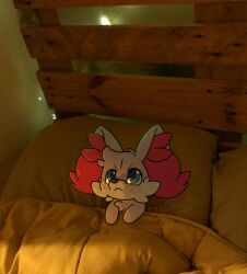  bed blue_eyes fennekin freckles furniture generation_6_pokemon gingy_(gingy_k_fox) gingy_k_fox hi_res nintendo photo_background photography_(artwork) pokemon pokemon_(species) shiny_pokemon 