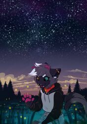  2020 5_fingers anthro detailed_background digital_media_(artwork) domestic_cat felid feline felis female fingers grass heterochromia kneeling mammal night outside plant sky smile solo star starry_sky thelupinprincess 