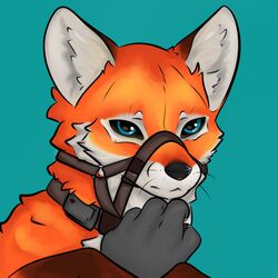  1:1 ambiguous_gender black_nose canid canine cdt2s collar digital_drawing_(artwork) digital_media_(artwork) feral fox fur headshot_portrait mammal orange_body orange_fur portrait red_fox simple_background snout solo true_fox whiskers 