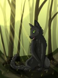  3:4 black_body black_fur digital_drawing_(artwork) digital_media_(artwork) domestic_cat felid feline felis female feral forest fur green_eyes hi_res hollyleaf_(warriors) mammal open_mouth outside palemoonwendigo plant shaded shy sitting soft_shading solo tree warriors_(book_series) 