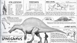  16:9 3_fingers 3_toes ambiguous_gender bone claws dinosaur extinct feet feral fingers hi_res male prehistoric_species reptile sail scalie size_difference skull smaller_male spinosaurid spinosaurus study suchomimus_(species) teeth the_isle theropod toes tyrannosaurid tyrannosauroid tyrannosaurus tyrannosaurus_rex widescreen 