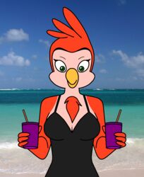  avian beach breasts darkshadow_2017_(artist) detailed_background el_agente_00-p2 female molly_cocatu non-mammal_breasts outside photo_background photography_(artwork) seaside solo 