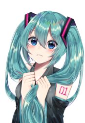  absurdres aqua_eyes aqua_hair bare_shoulders blue_eyes blush commentary detached_sleeves female frown green_hair hair_between_eyes hair_grab hair_ornament hatsune_miku highres holding holding_hair long_hair looking_at_viewer nerua simple_background sleeveless solo twintails very_long_hair vocaloid white_background 