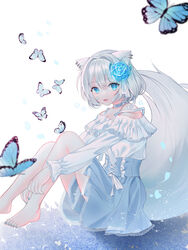  absurdres animal_ears bad_id bad_pixiv_id bandaid barefoot blue_butterfly blue_choker blue_dress blue_eyes blue_flower blue_nails blue_rose blurry blurry_foreground bow_choker bug butterfly character_request choker dress ear_piercing female flower from_side hair_flower hair_intakes hair_ornament highres knees_up korean_commentary lace long_sleeves looking_at_viewer looking_to_the_side multicolored_clothes multicolored_dress nail_polish oerba_yun_fang open_mouth original petals piercing ribbon rose short_hair sitting smile solo strap_slip tail toenail_polish toenails white_dress white_hair wolf_ears wolf_tail yagen_(user_mxur3238) 