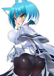  absurdres animal_ears asagi_(bombergirl) ass bad_id bad_twitter_id black_pantyhose blue_hair blush bombergirl breasts capelet female gloves grey_panties highres jacket large_breasts long_sleeves looking_at_viewer looking_back open_mouth panties panties_under_pantyhose pantyhose shimejinameko short_hair slit_pupils solo thighs underwear white_capelet white_gloves white_jacket wolf_ears wolf_girl yellow_eyes 