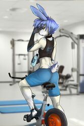  anthro athletic athletic_anthro athletic_male athletic_wear black_body black_skin blue_body blue_eyes blue_fur blue_hair bottle bottomwear choker clothed clothed_anthro clothed_male clothing container crop_top exercise exercise_bike femboy fur gym gym_bottomwear gym_shorts hair hi_res holding_bottle holding_container holding_object inside jaggiekant jewelry just_do_it lagomorph leporid looking_at_viewer looking_back looking_back_at_viewer male mammal necklace pewt_(synpentane) rabbit shirt shorts solo three-quarter_view topwear water_bottle white_body white_fur 