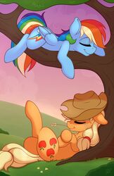  2017 applejack_(mlp) closed_eyes cutie_mark duo equid equine female feral friendship_is_magic fur grass hair hasbro hi_res hooves lying mammal multicolored_body multicolored_fur multicolored_hair my_little_pony mythological_creature mythological_equine mythology pegasus plant rainbow_body rainbow_dash_(mlp) rainbow_fur rainbow_hair ratofdrawn sleeping smile wings 