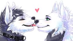  2014 anthro arctic_wolf canid canine canis collar duo fur heart_symbol iceblizzard licking male male/male mammal ookami romantic romantic_couple sethmiou tongue tongue_out wolf 