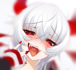  :3 blurry blush cluseller commentary_request cropped demon_girl fangs female grim_aloe half-closed_eyes hand_up happy head_tilt heart heart_in_mouth horns long_hair looking_at_viewer nail_polish nose_blush open_mouth portrait quiz_magic_academy_the_world_evolve red_eyes red_nails sidelocks simple_background smile solo straight-on teeth tongue white_background white_hair 