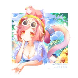  absurdres animal_ears animal_on_head arknights bikini breasts cat_ears cat_girl cat_on_head cat_tail cleavage commentary eyewear_on_head feline female food fruit goldenglow_(arknights) goldenglow_(summer_flowers)_(arknights) head_rest highres long_hair looking_at_viewer official_alternate_costume on_head pink_hair solo sunglasses suzuiro_(chocolatte) swimsuit tail watermelon white-framed_eyewear white_bikini yellow_eyes 