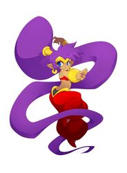  blue_eyes clothing dark_body dark_skin ear_piercing female genie gunmouth hair hi_res humanoid humanoid_pointy_ears long_hair not_furry piercing ponytail purple_hair shantae shantae_(series) short_stack simple_background smile solo wayforward 