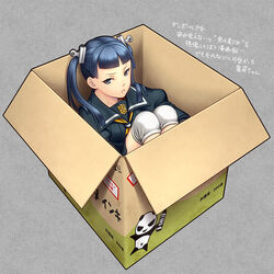  :&lt; alternate_eye_color ascot black_hair black_sailor_collar blue_eyes blunt_bangs box cardboard_box closed_mouth commentary_request female frown grey_background gyakuten_saiban hair_ornament in_box in_container kayu knee_pads long_sleeves looking_at_viewer myriam_scuttlebutt panda paperclip phoenix_wright:_ace_attorney_-_dual_destinies puffy_sleeves sailor_collar school_uniform simple_background sitting solo spoilers striped themis_legal_academy_school_uniform tsurime twintails uniform v-shaped_eyebrows vertical_stripes 