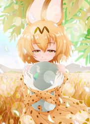  animal_ears bare_shoulders blonde_hair blush brown_eyes closed_mouth commentary_request day elbow_gloves female gloves grass hair_between_eyes hat hat_feather helmet high-waist_skirt highres hugging_object kemono_friends lens_flare outdoors pandemic14 pith_helmet plant savannah serval_(kemono_friends) serval_print shirt short_hair skirt sleeveless sleeveless_shirt smile solo white_shirt wind 