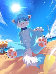  absurd_res anthro ball beach beach_ball blue_body blue_collar blue_eyes blue_fur blue_hair blue_tail blush blush_lines canid canine chest_tuft collar fox fur hair hi_res inflatable kemono male mammal mikey_(mikey_fox) open_mouth pawpads paws sand shy sitting sitting_on_ground solo tail terri_the_dragon tuft 