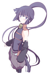  akatsuki_(log_horizon) blush commentary_request detached_sleeves female log_horizon long_hair looking_at_viewer photoshop_(medium) ponytail purple_eyes purple_hair solo touge_hiro 