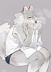  anthro bebebebebe biped blush bodily_fluids canid canine canis clothed clothing countershading female half-closed_eyes heart_eyes heart_symbol holding_object kemono mammal narrowed_eyes simple_background sitting sniffing solo sweat thick_thighs wolf wolf-chan_(bebebebebe) 