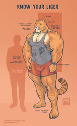  2016 anthro areola big_bulge big_muscles blue_eyes bottomwear bulge clock clothing comparison english_text felid hi_res huge_muscles human hybrid hyper hyper_muscles larger_male liger lion male mammal markings model_sheet muscular muscular_anthro muscular_male nipples pantherine pecs purrcules_(artist) purrcules_(character) shirt shorts silhouette simple_background size_difference smaller_male solo tank_top text thick_thighs tiger topwear vein watch 