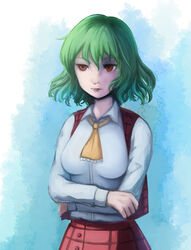  agsagreen ascot blue_background breasts closed_mouth commentary_request crossed_arms expressionless female gradient_background green_hair hair_between_eyes hand_on_own_arm kazami_yuuka lips long_sleeves medium_breasts open_clothes open_vest plaid plaid_skirt plaid_vest red_eyes red_skirt red_vest shirt short_hair skirt skirt_set solo touhou uneven_eyes upper_body vest wavy_hair white_background white_shirt 