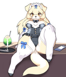  animal_ear_fluff animal_ears blue_bow blush body_fur bow breasts breasts_apart clipboard commentary curvy dog_ears dog_girl dog_tail elbow_gloves female furry furry_female gloves large_breasts long_hair original plump sitting snout solo tail thighhighs two-tone_fur white_fur white_gloves white_thighhighs wkar yellow_fur 