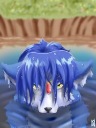  3:4 anthro bathing canid canine droplets female fox gem krystal_(star_fox) lake looking_at_viewer mammal nahadon nintendo nude partially_submerged solo star_fox water wet 