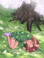  brown_hair cherry_blossoms commentary_request dappled_sunlight female grass green_shorts hair_ornament highres hood hoodie idolmaster idolmaster_cinderella_girls lying on_side petals ryuzaki_kaoru shirota_mizuki short_hair shorts sleeping solo sunlight tree under_tree 