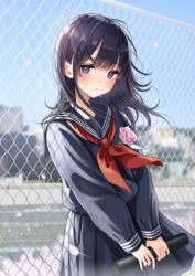  absurdres black_hair black_sailor_collar black_serafuku black_shirt black_skirt blue_eyes blue_sky blurry blurry_background blush chain-link_fence commentary_request day depth_of_field female fence flower graduation highres holding kentaurosu long_hair looking_at_viewer neckerchief original outdoors parted_lips pink_flower pink_rose pleated_skirt red_neckerchief rose sailor_collar school_uniform serafuku shirt skirt sky solo tube 