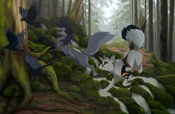  2018 akitamonster ambiguous_gender avian bird black_body black_feathers canid canine corvid corvus_(genus) crow day digital_media_(artwork) enfield feathered_wings feathers feral forest fox fur grey_body grey_fur group hioshiru_(character) kej_(kejifox) mammal moss oscine outside passerine paws plant tree water wings yellow_eyes 